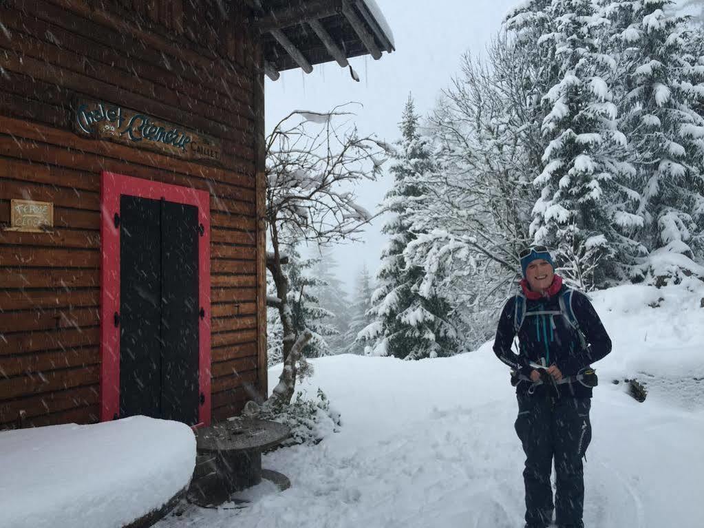 Chalet Heron Les Houches Bagian luar foto